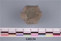 藏品(藤壺)的圖片